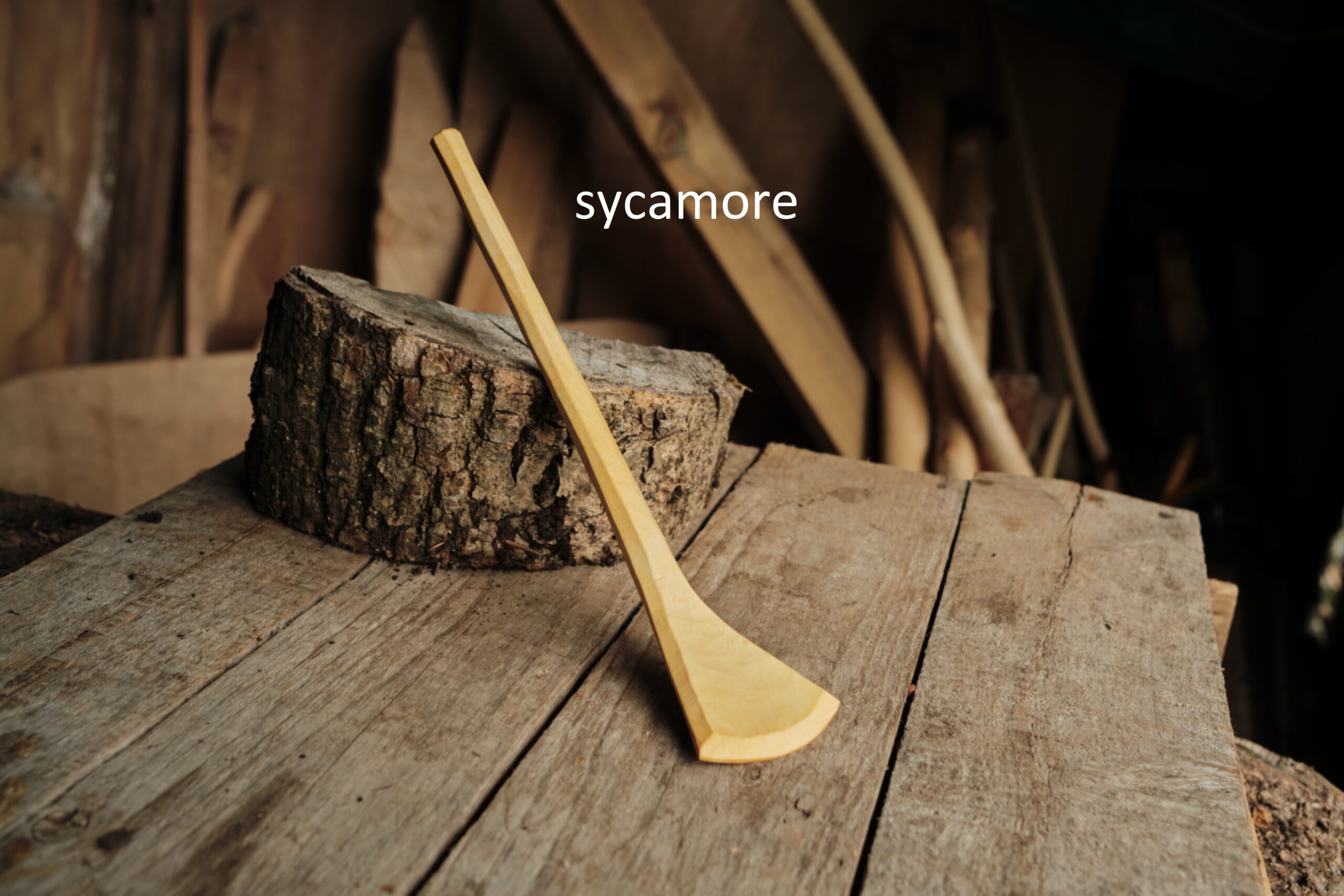 Small sycamore spatula