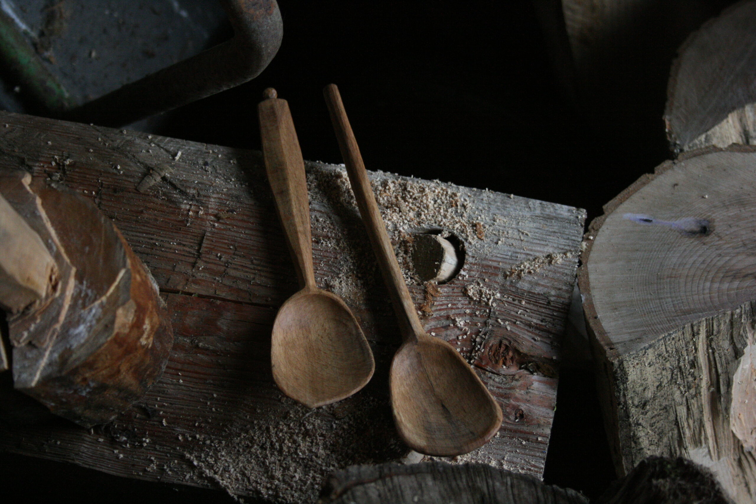 Beech eating spoon