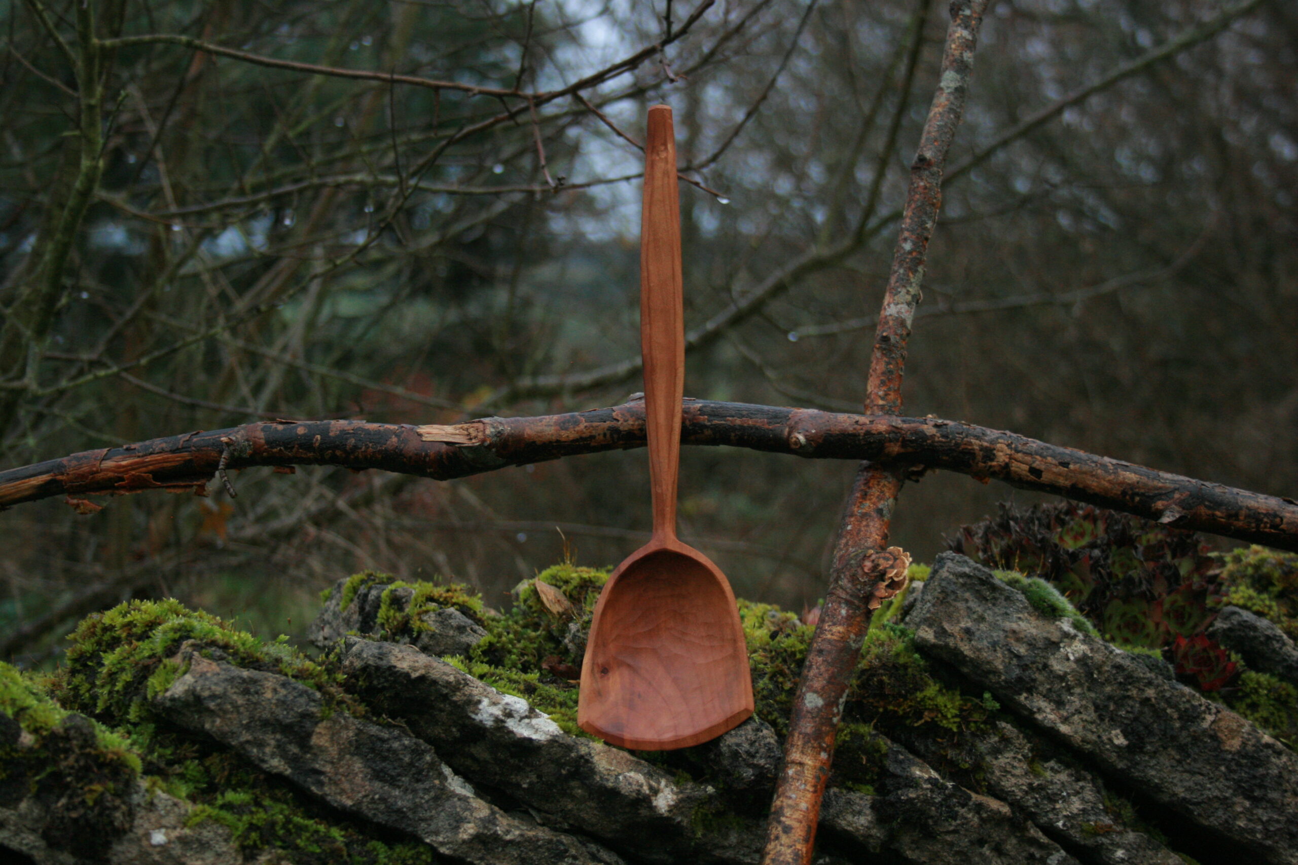 Plum cooking and serving spoon