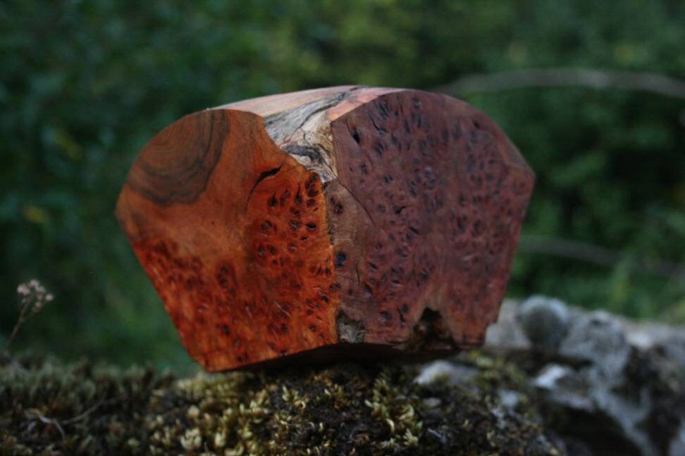 Elm burr salt or trinket bowl