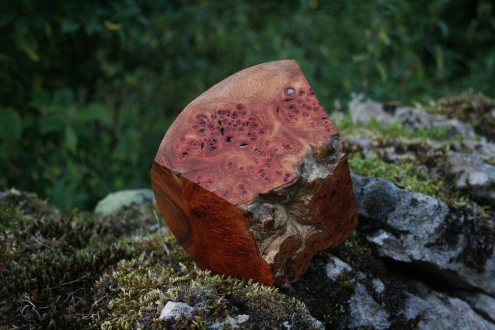 Elm burr salt or trinket bowl